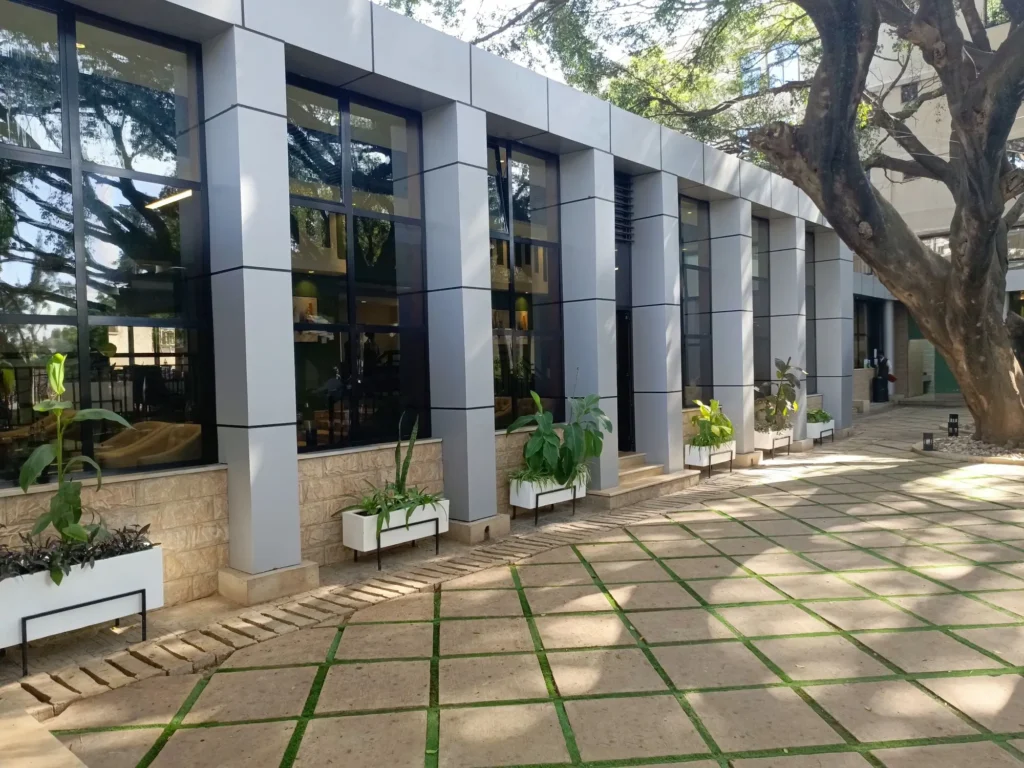Courtyard and old tree